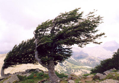 korsika